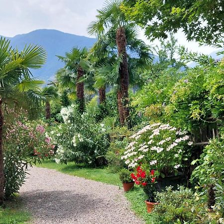 Nora S Home 5 - Panoramic Terrace & Bio Garden Μεράνο Εξωτερικό φωτογραφία